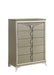 Galaxy Home Samantha Chest in Silver image
