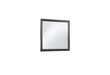 Pompei Mirror